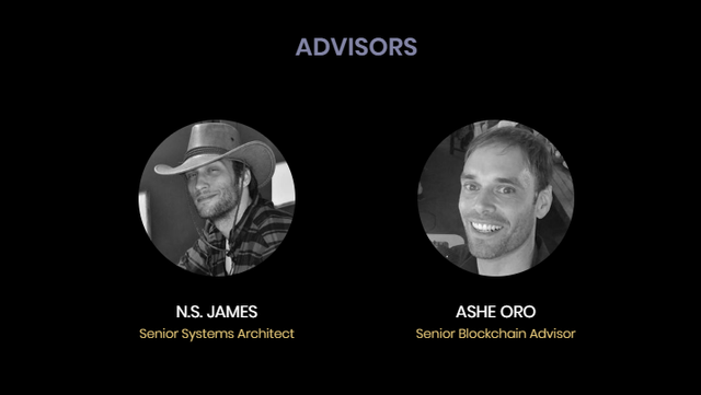 advisors.png