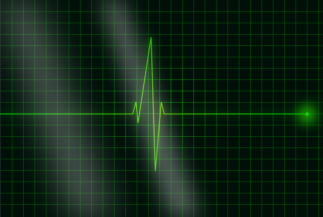 electrocardiogram-36732_1280.png