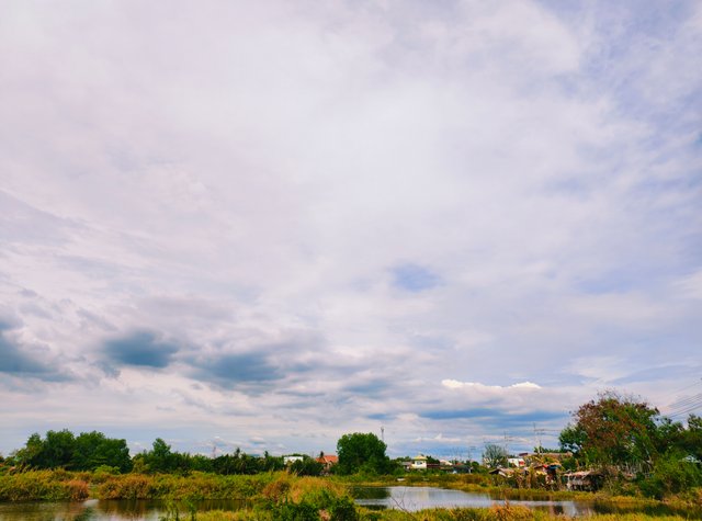 IMG_20250529_072307.jpg