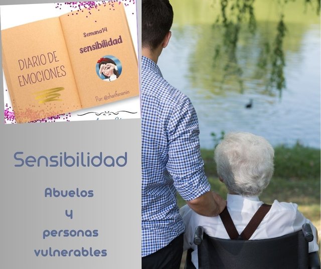 Añadir un título (3).jpg
