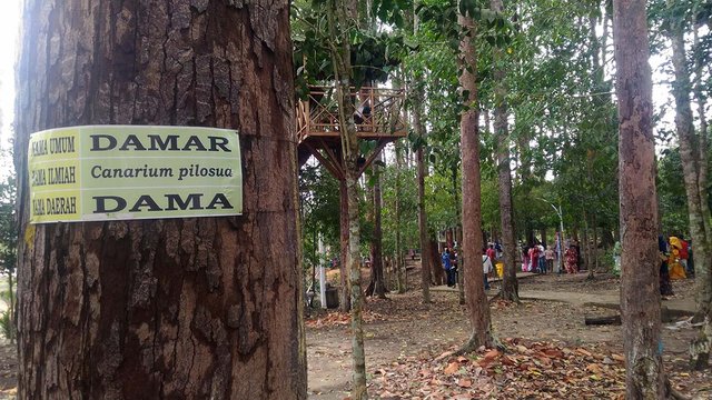 Taman langsa2.jpg