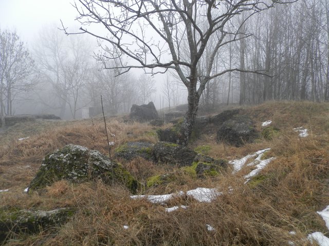 P1260332.JPG