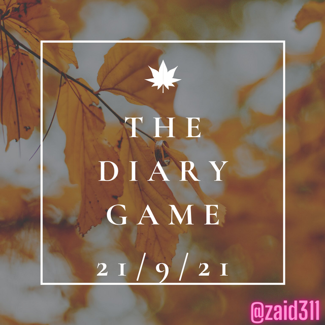 The Diary Game (1).png