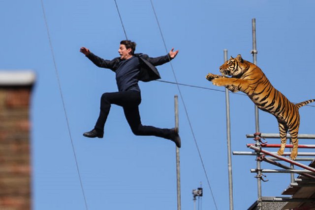 salto tigre.jpg