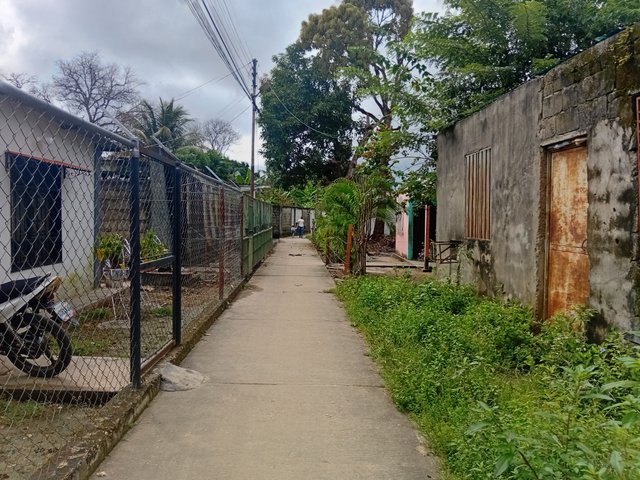 1000229603.jpg