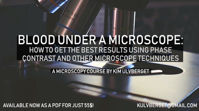 microscopycourse.jpg