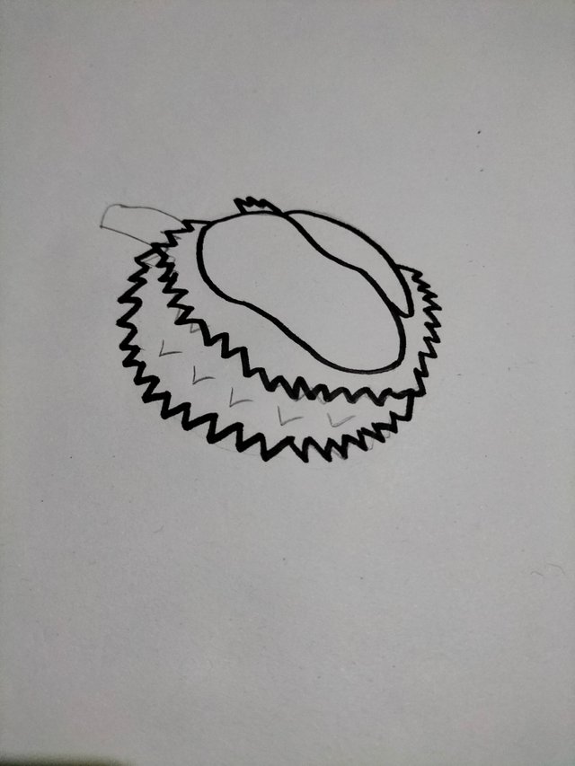 IMG20231117130105.jpg