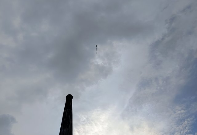 1000008479.jpg