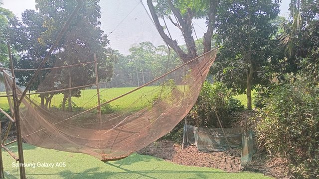 20250403_093453.jpg