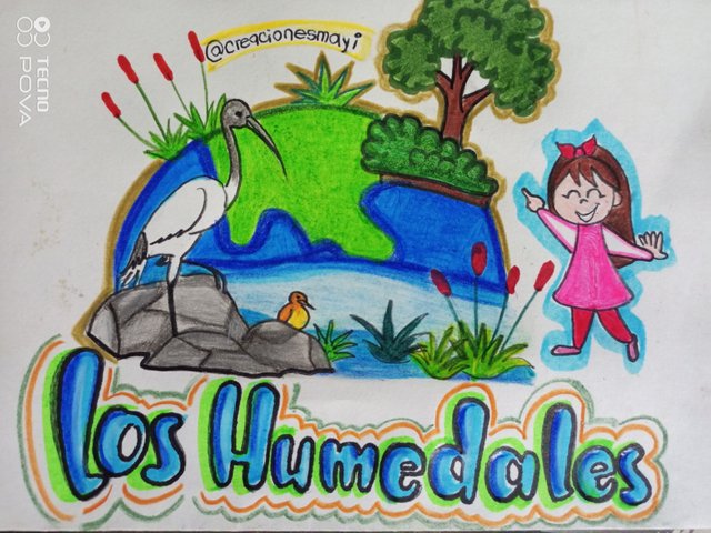 dibujo de humedales