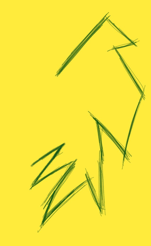 1000529341.jpg