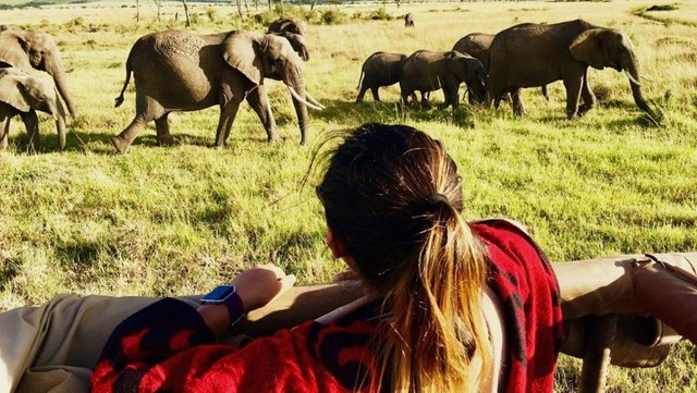 Best Way to Combine Northern Tanzania Safari Parks in 7 Days.jpg