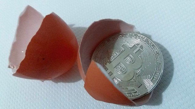crypto Which Came First The Bitcoin EGGS2.jpg