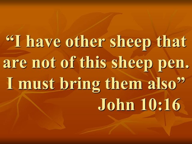 The spiritual guide of Jesus. I have other sheep that are not of this sheep pen. I must bring them also. John 10,16.jpg