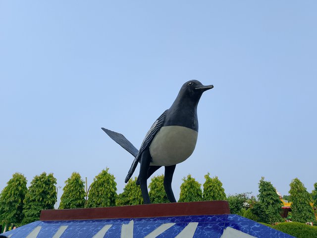 1000041026.jpg