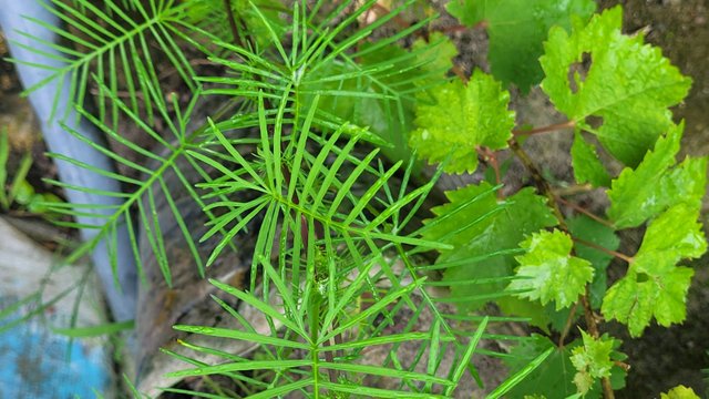IMG-20250704-WA0073.jpg