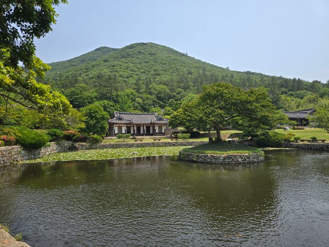 20250529_114336.jpg