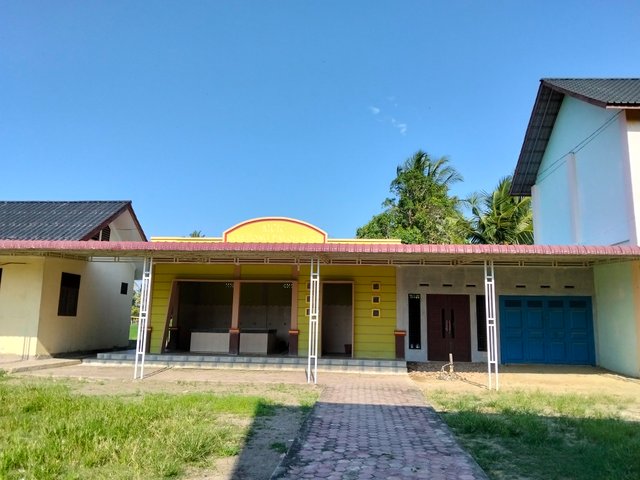 6906.jpg