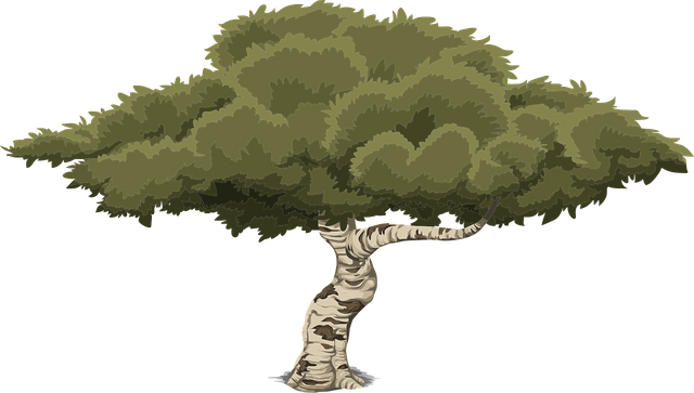 tree-576863_1280.png