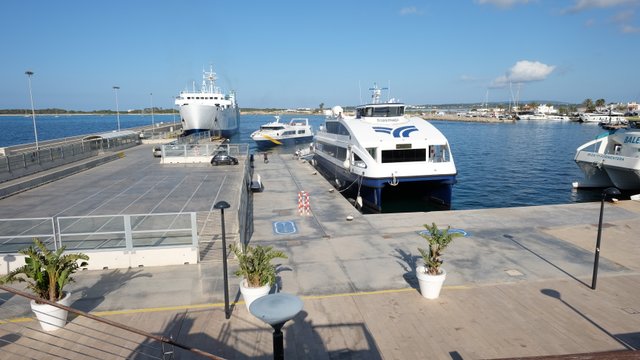 Seguridad Savina 0162.JPG