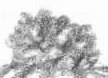 winter grey detail.jpg