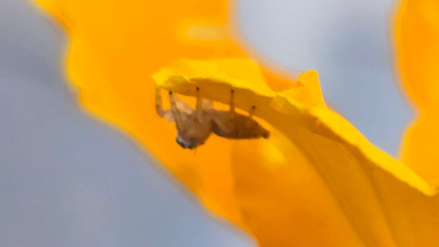 20250330_063839.jpg