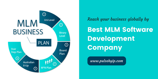 mlm-software-development-company.png