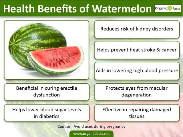  Function of watermelon.jpg