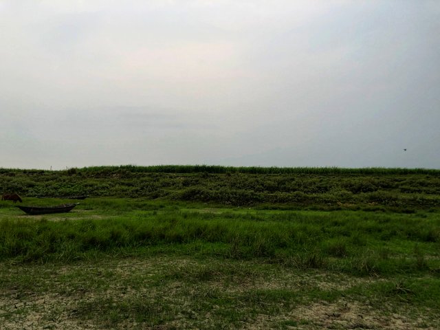 IMG_1967-01.jpeg