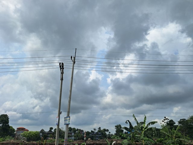 20250517_132726.jpg