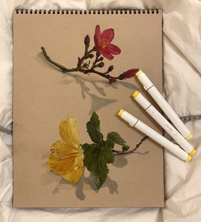 insta01.jpg