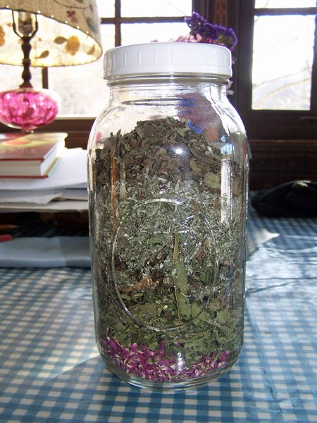 Herbs for hens - oregano, wormwood, marjorma, lemon verbena, fairy roses crop March 2019.jpg