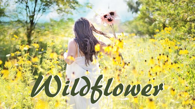 -wildflowerpretty-woman-882814.jpg