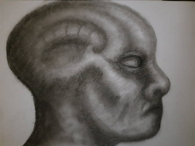 20250814_105458.jpg