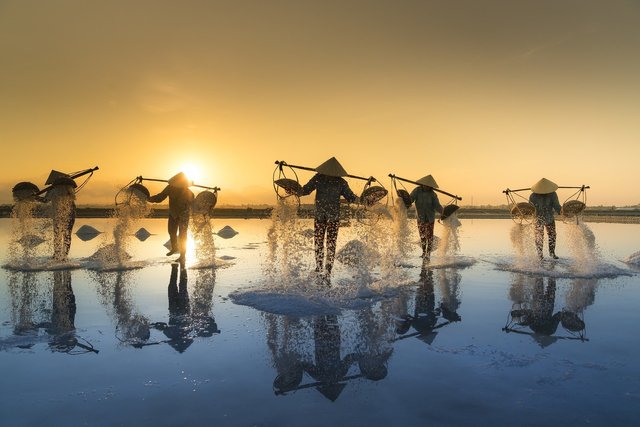 salt-harvesting-3060093_1920.jpg