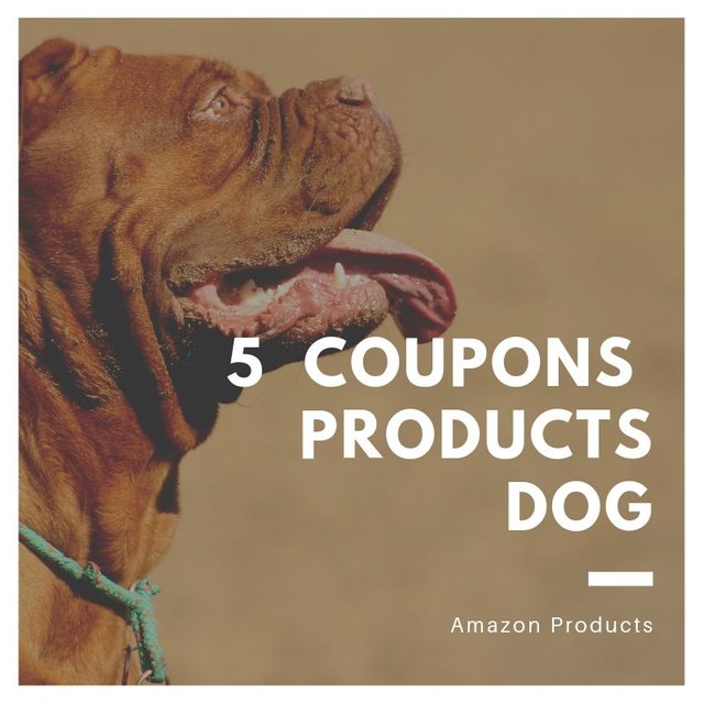 5 coupons products dog.jpg