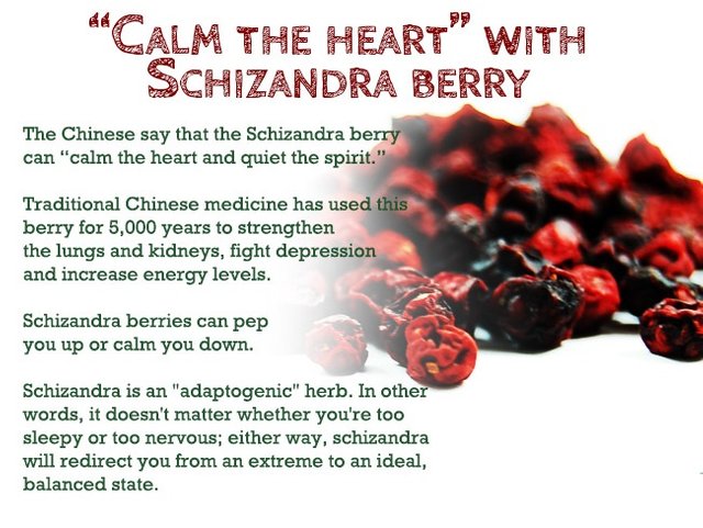 schizandra-berries-red-superfood-love-1404049616gnk84.jpg