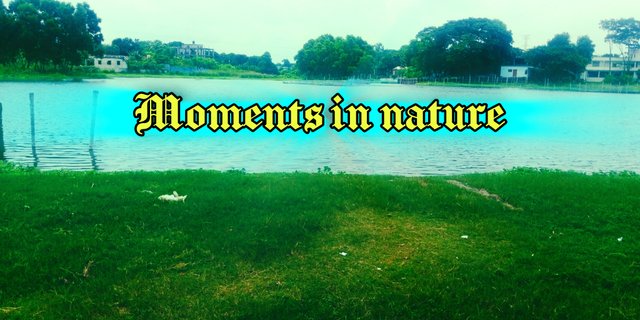 InShot_20250907_235250433.jpg