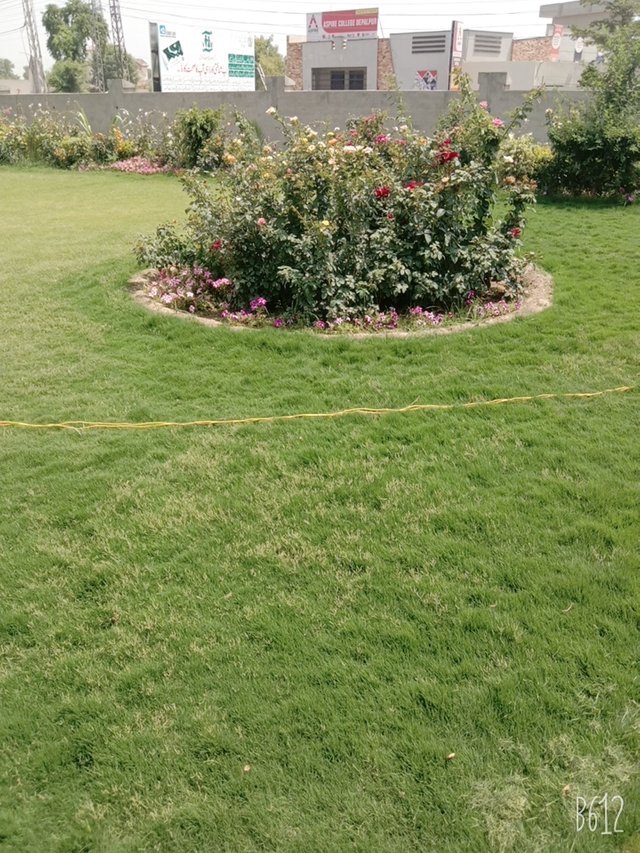 B612_20210528_102414_969.jpg