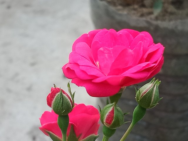IMG_20251007_235512.jpg