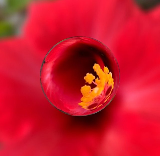 IMG_5625.jpeg