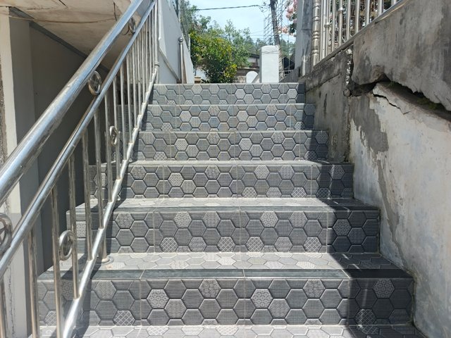 1000073001.jpg