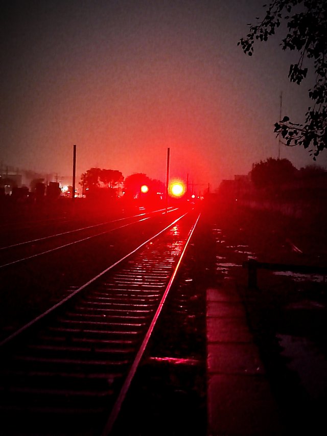 IMG_20220203_071415.jpg