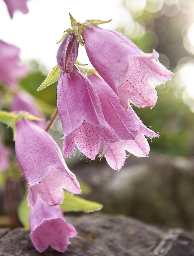 IMG_20250614_075656.jpg