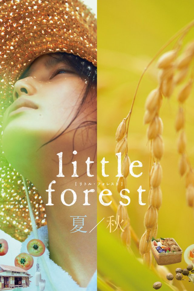 little-forest-summerautumn.35451.jpg