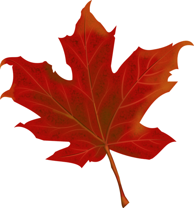 leaf-984998_1280.png