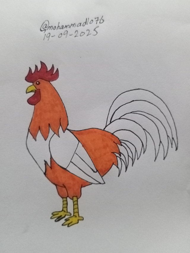1000106148.jpg
