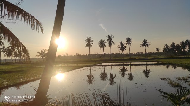IMG_20250818_065728.jpg