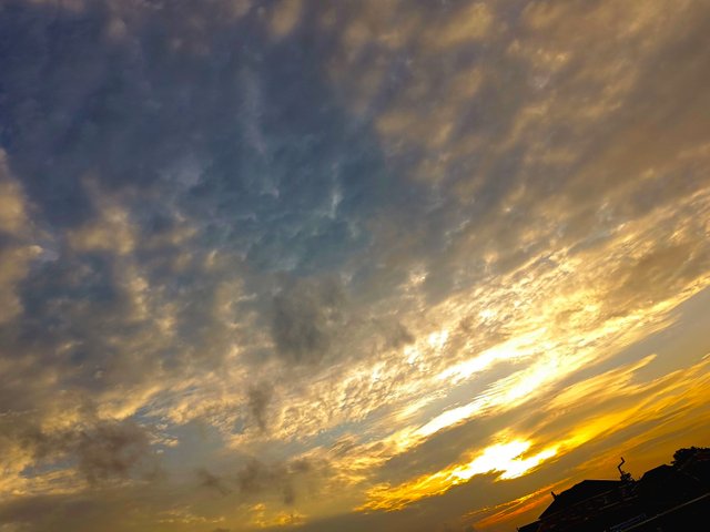 1000641038.jpg