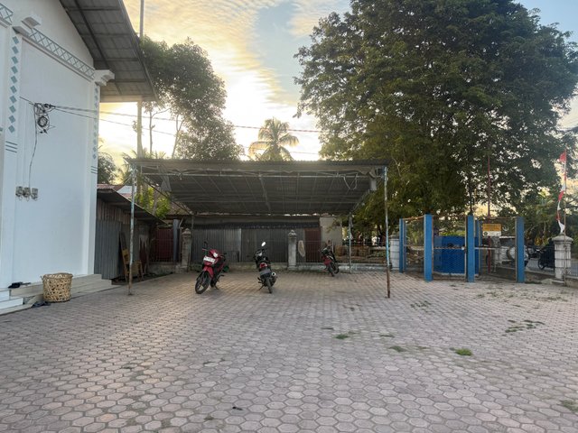 IMG_2938.jpeg